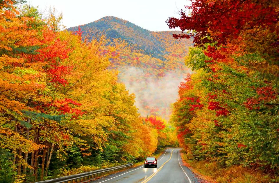 Car driving down winding road framed by vibrant red, orange, and yellow autumn trees into misty hills.