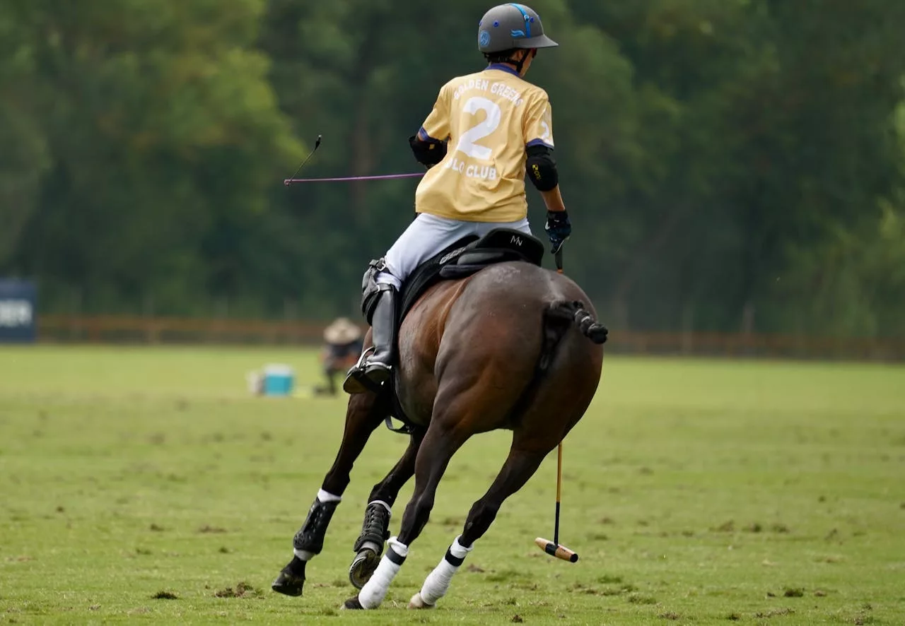 Miami Beach Polo World Cup — polo player riding a galloping horse on a grassy beachfront field.