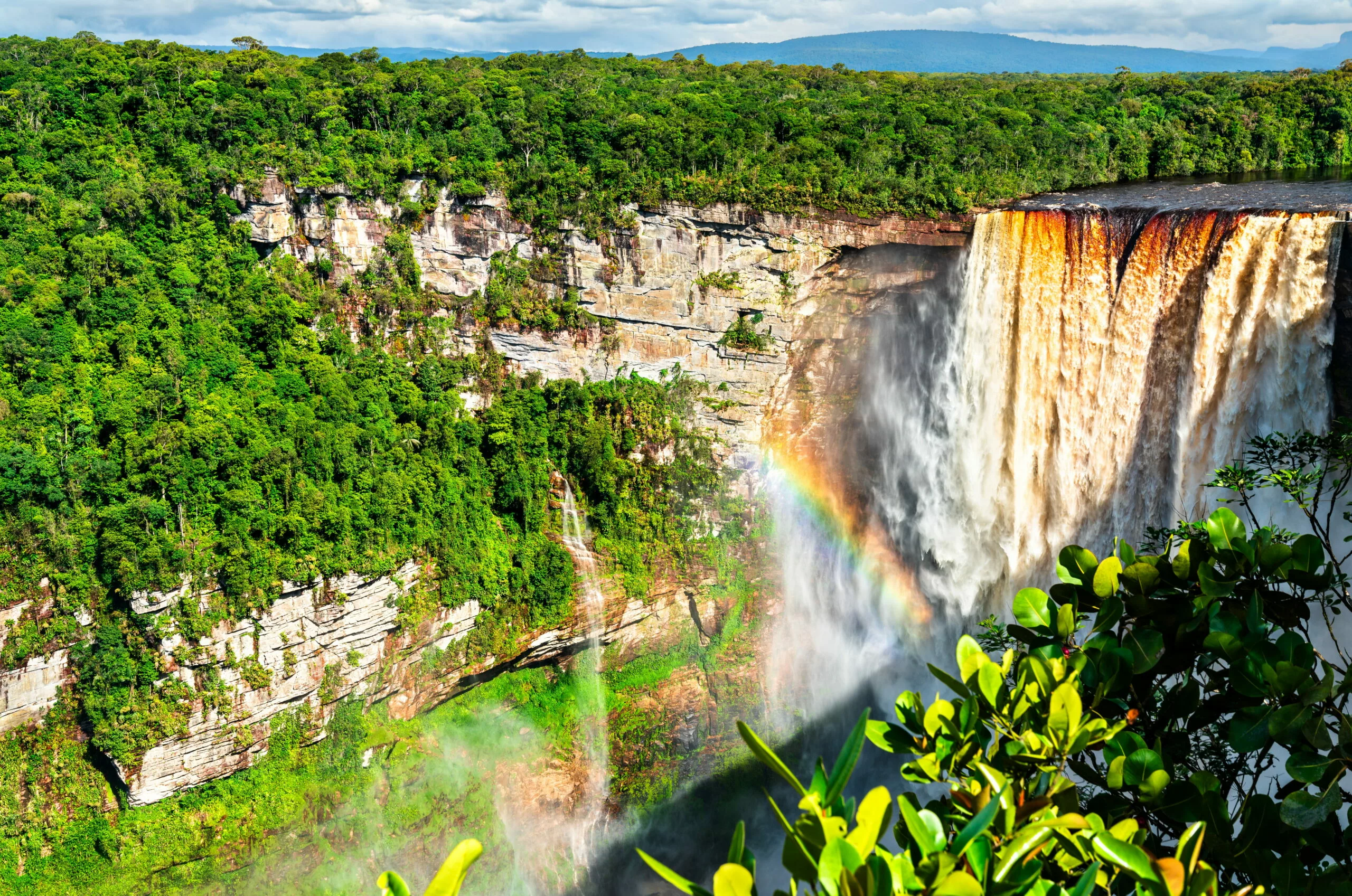 Kaieteur Falls Tours