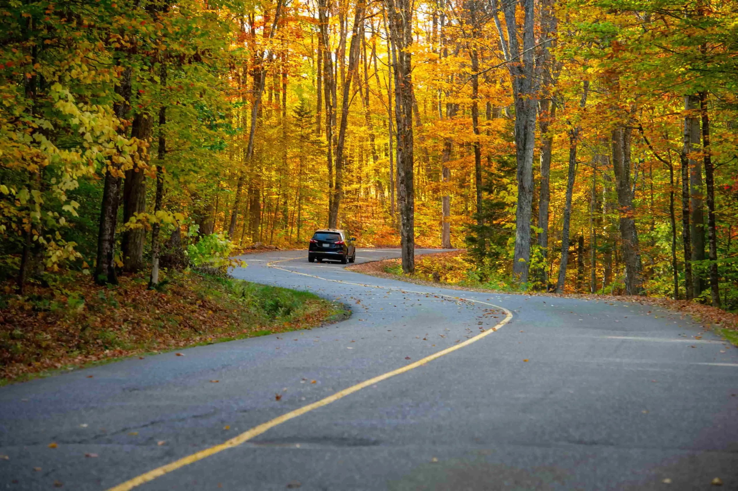 Fall foliage road trip through Algonquin Park Highway 60