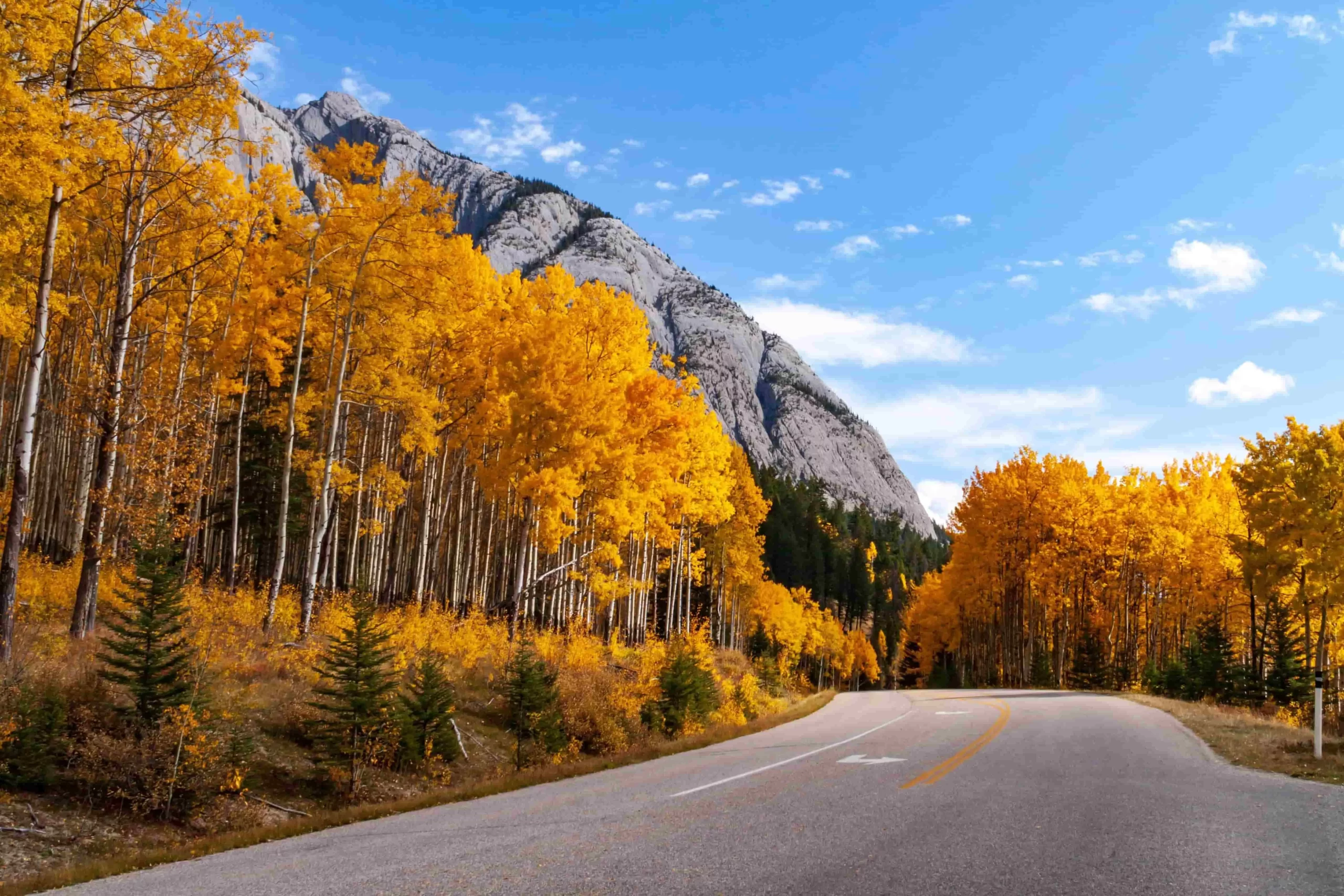 Bow Valley Parkway scenic drive during fall in Banff