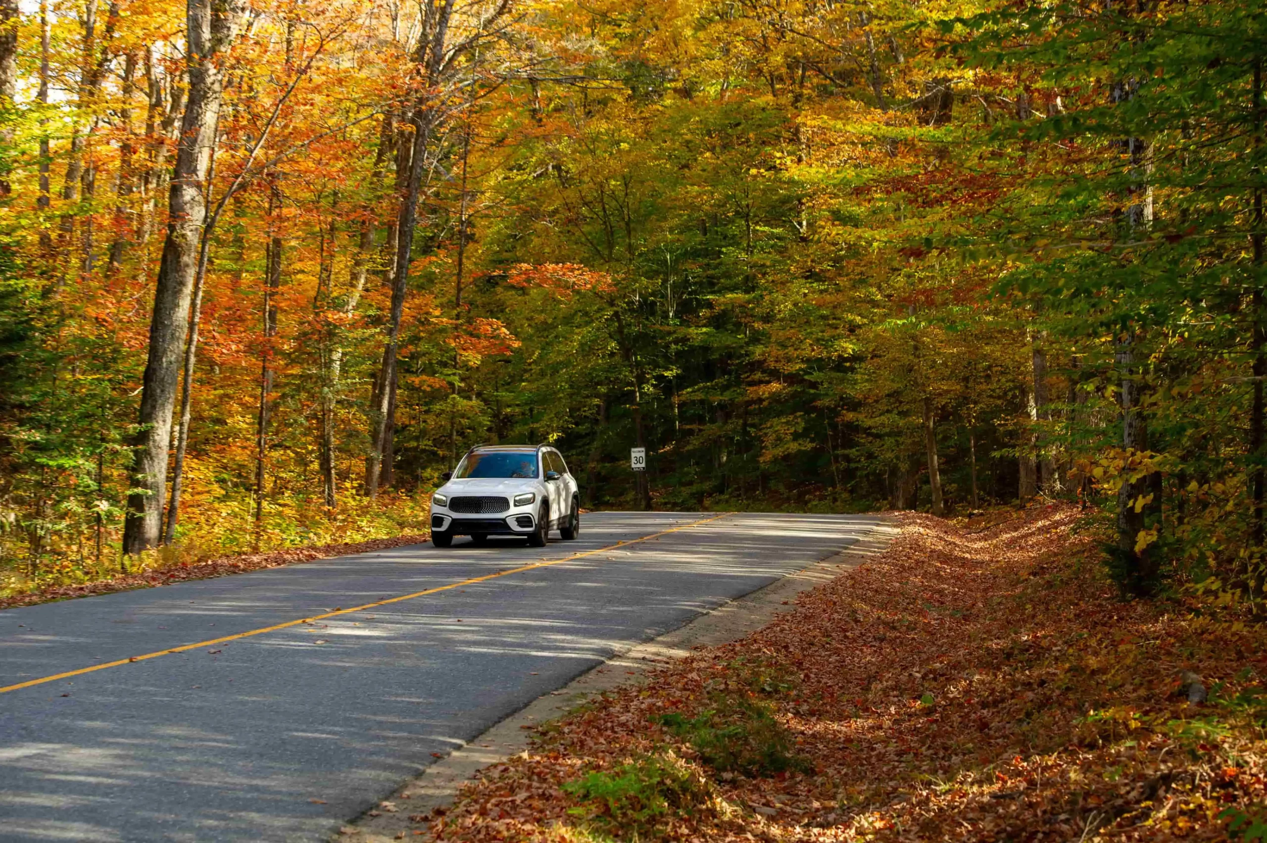 Fall foliage road trips through colourful Canadian forests