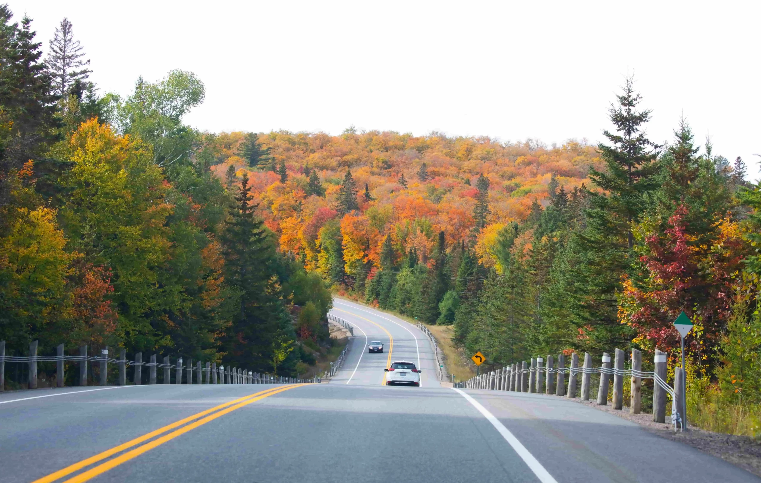 Rental SUV for fall foliage road trips in Ontario