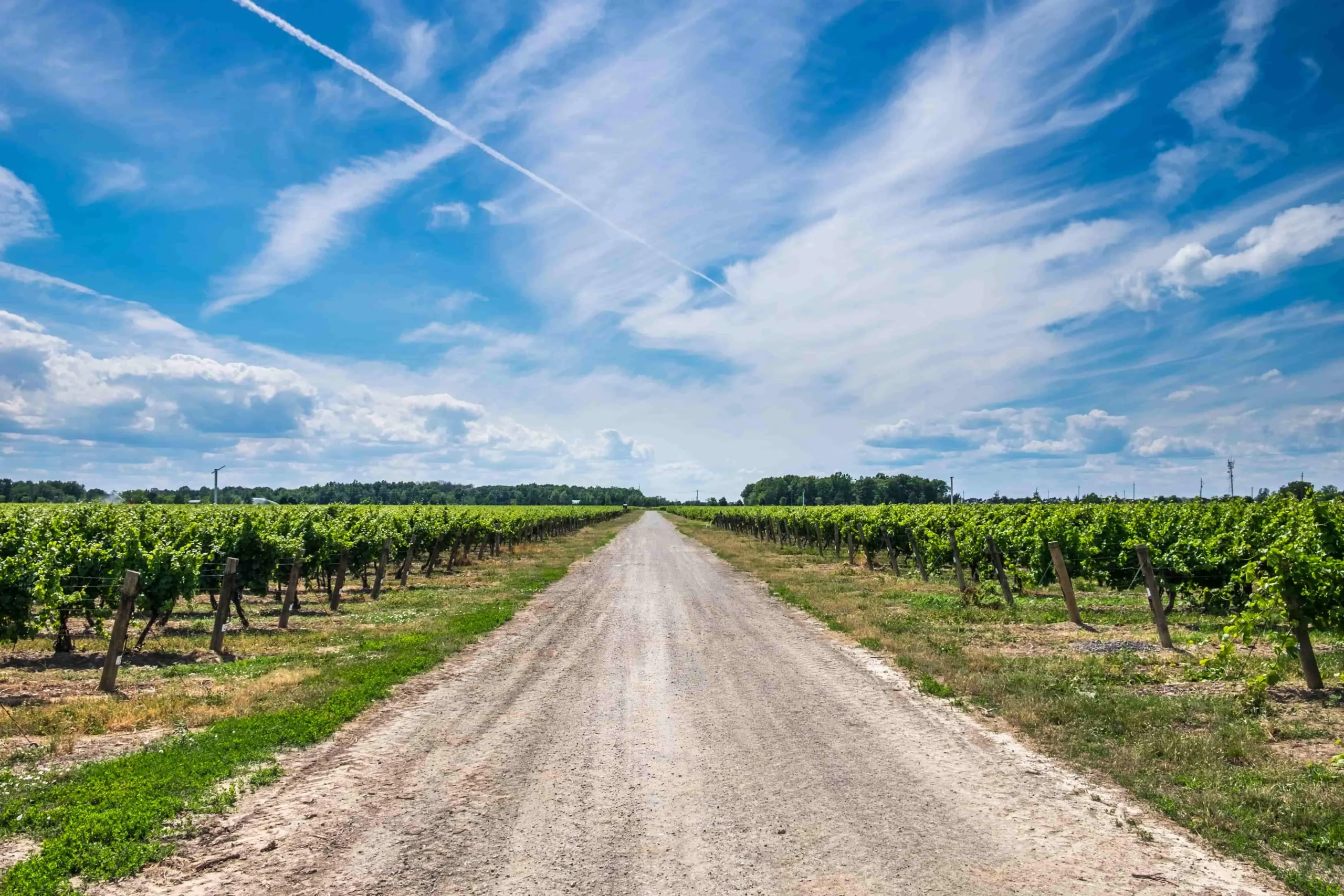Prince Edward County by rental car through scenic Ontario countryside